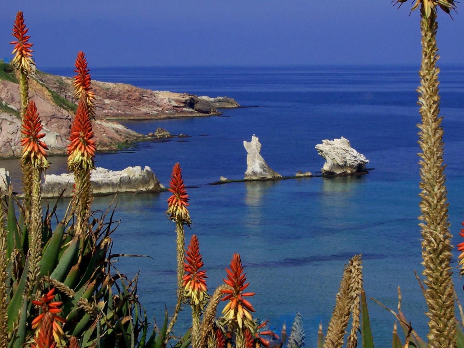 Esmaraldas House Of Love Terrasini Εξωτερικό φωτογραφία