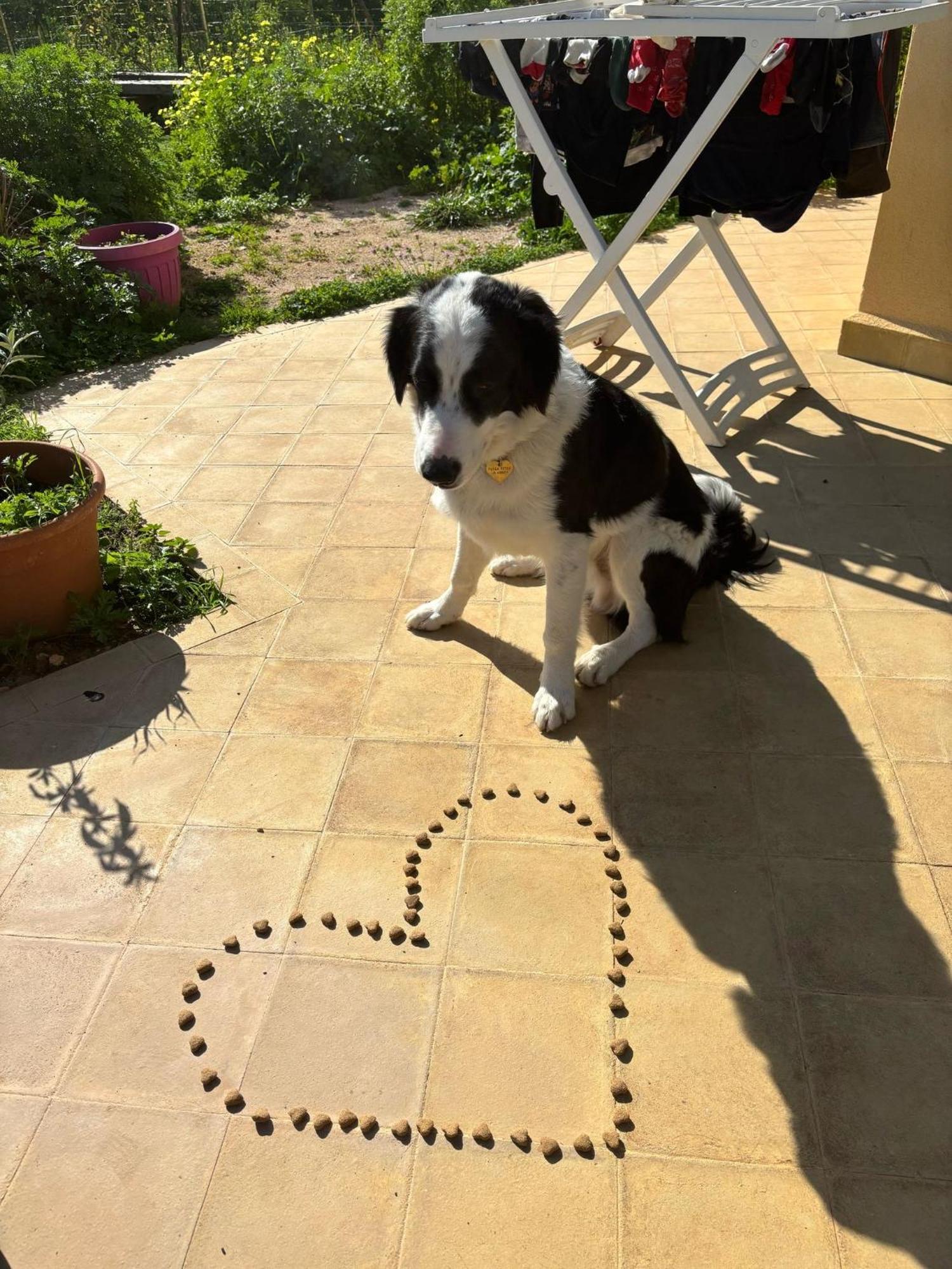 Esmaraldas House Of Love Terrasini Εξωτερικό φωτογραφία